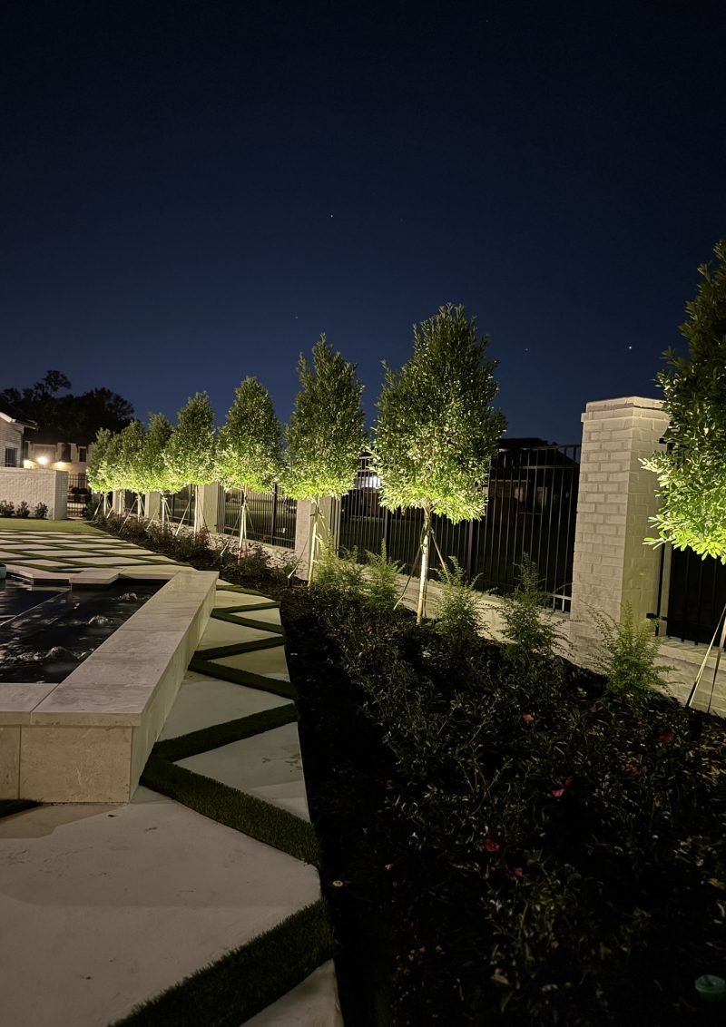 Row of uplit trees along a fence and pool deck at dusk