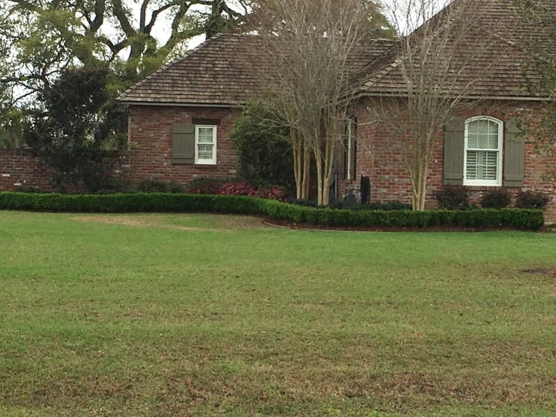 Brick home with crepe myrtles, a low boxwood border and red flowers, lawn in front