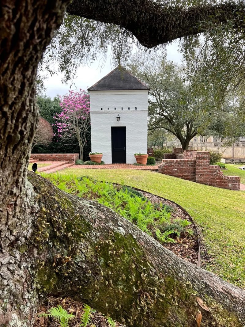 White garden building framed by a live oak trunk, ferns and a redbud in bloom