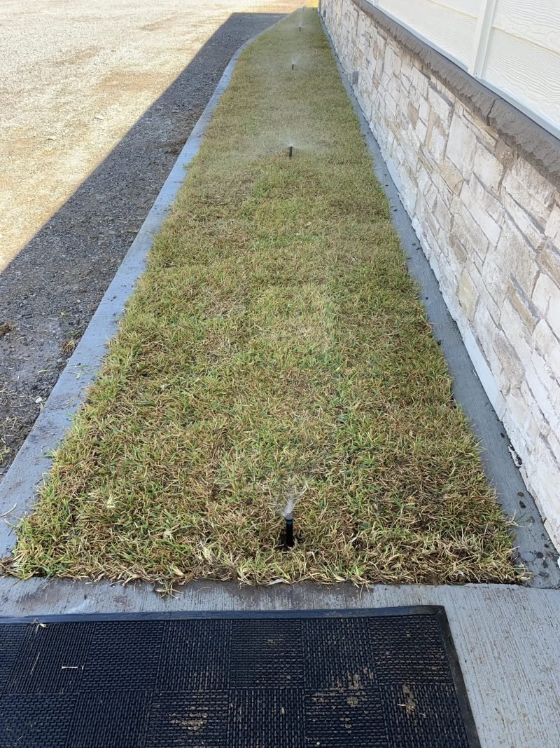 Pop-up spray heads watering a narrow strip of new sod beside a stone wall