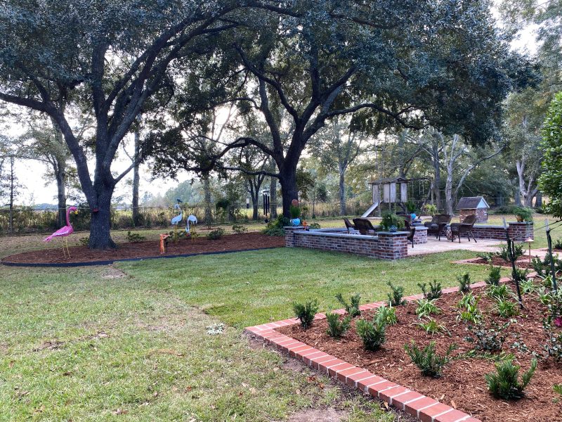 Back yard under live oaks with brick-edged planting beds, new lawn and a raised brick patio