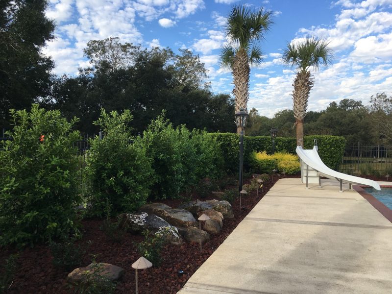 Pool slide and walk lined with shrubs, boulders, path lights and two palms