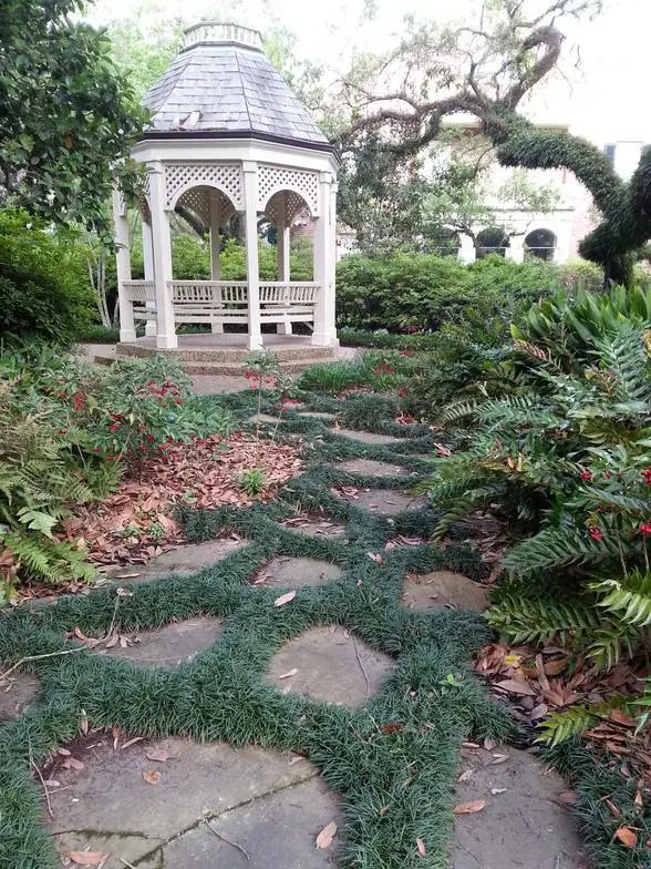 Stepping-stone path set in mondo grass leading to a white gazebo, with ferns and live oaks on both sides