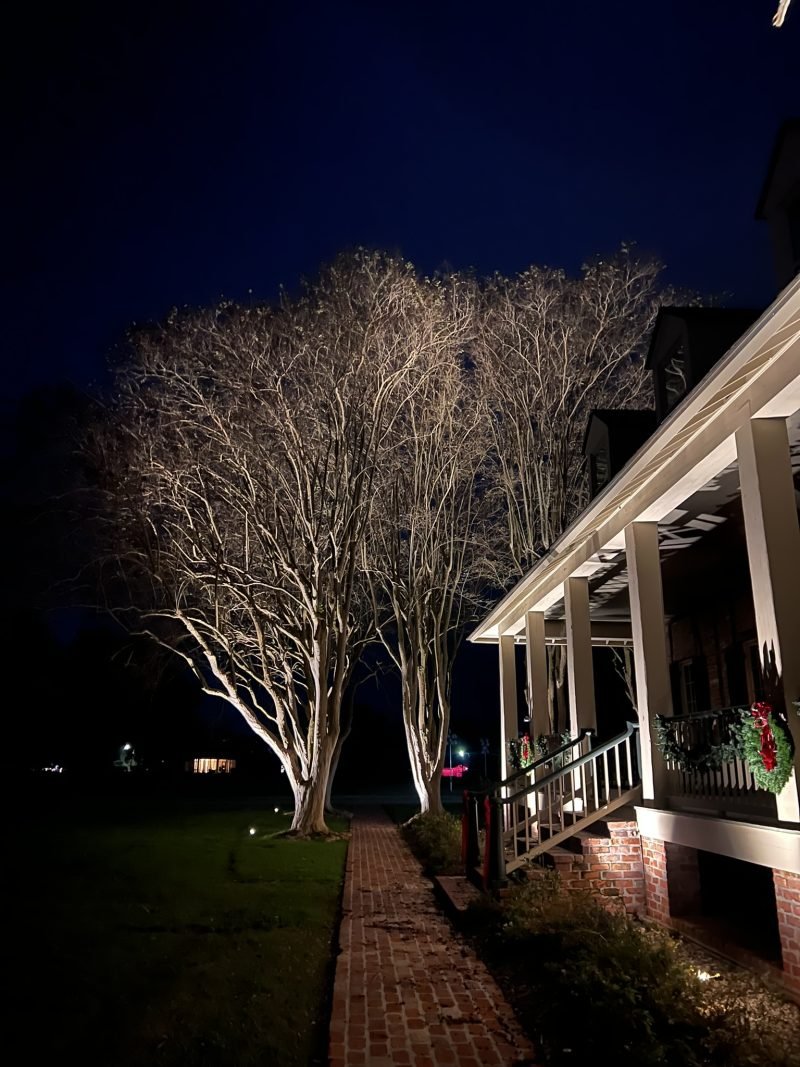 Uplit crepe myrtles along a brick walkway beside a lit porch