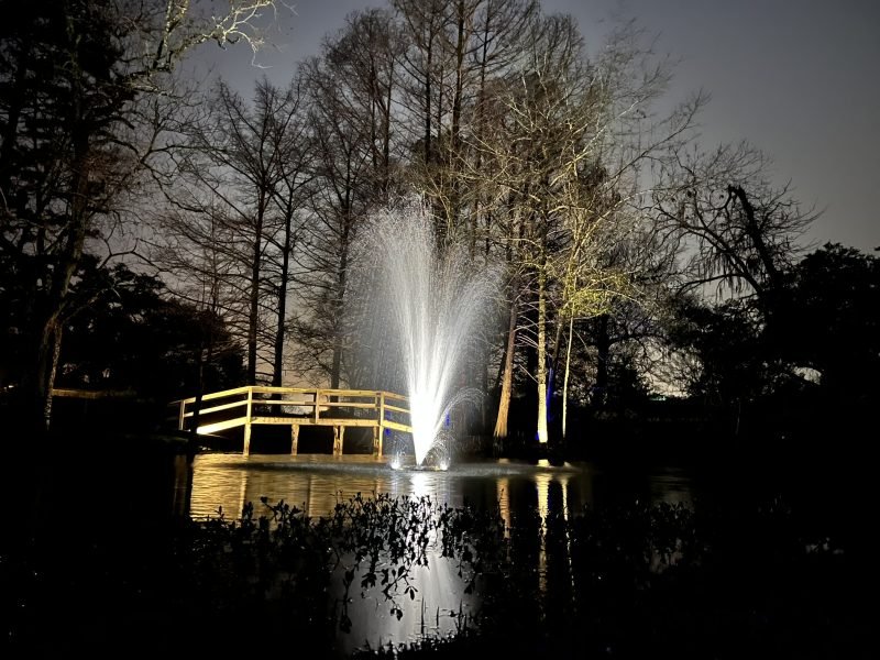 Lit pond fountain spraying in front of a wooden footbridge and cypress trees at night