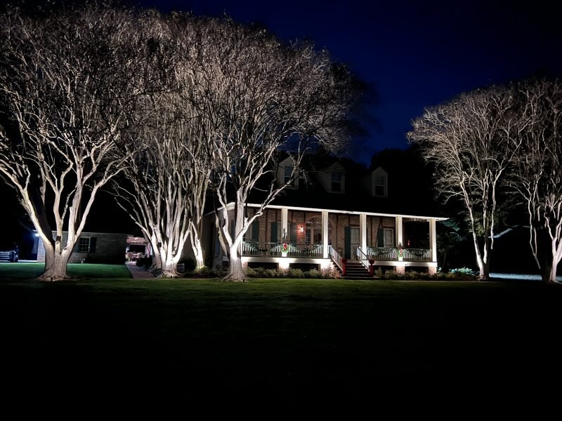 Raised porch home with a lit porch and a row of uplit crepe myrtles at night