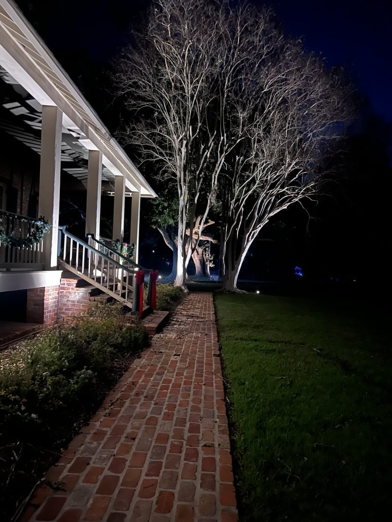 Uplit crepe myrtles beside a porch and brick walkway at night