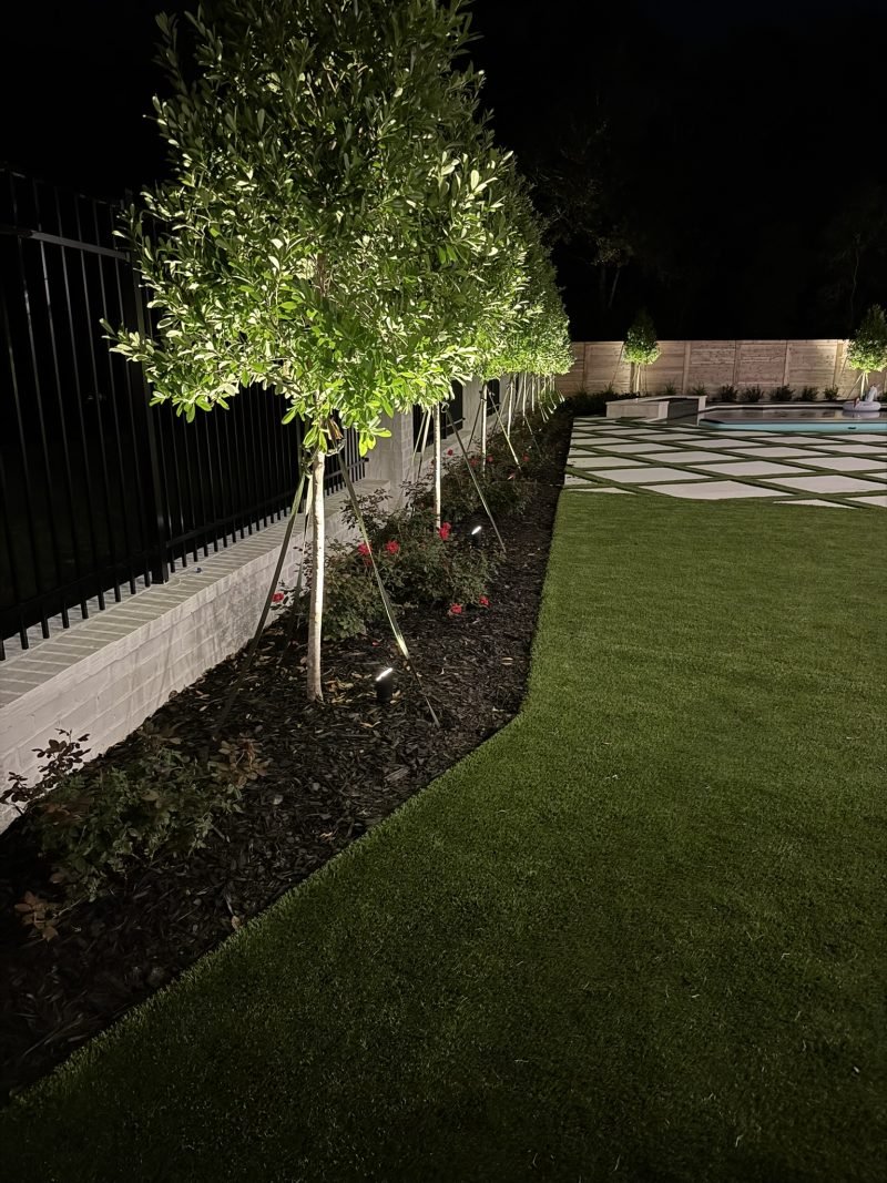 Uplit trees along a fence line beside a lawn and paver patio at night
